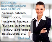 Presupuesto seguro responsabilidad civil general Presupuesto seguro responsabilidad civil general